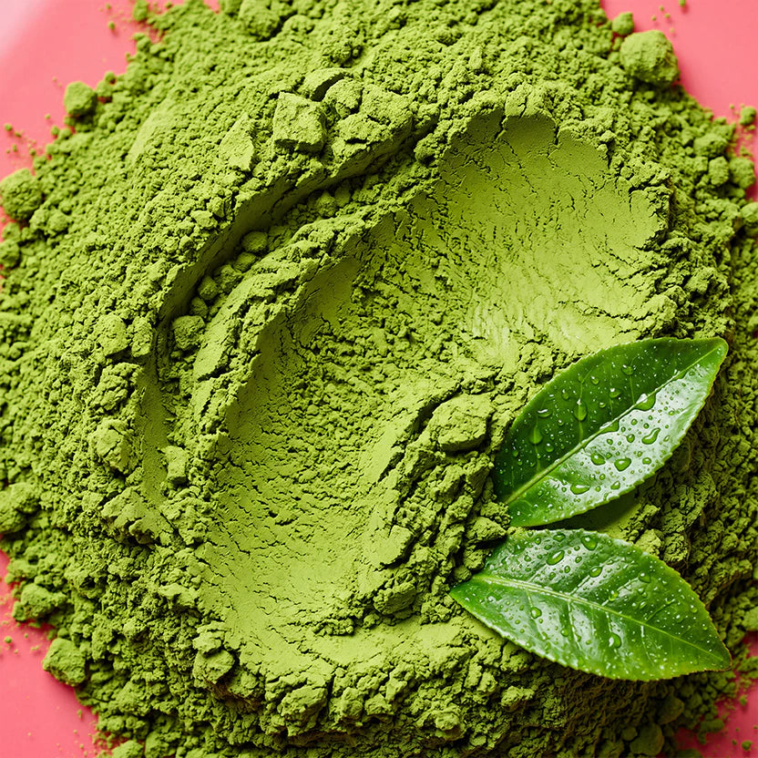 Green Tea Extract