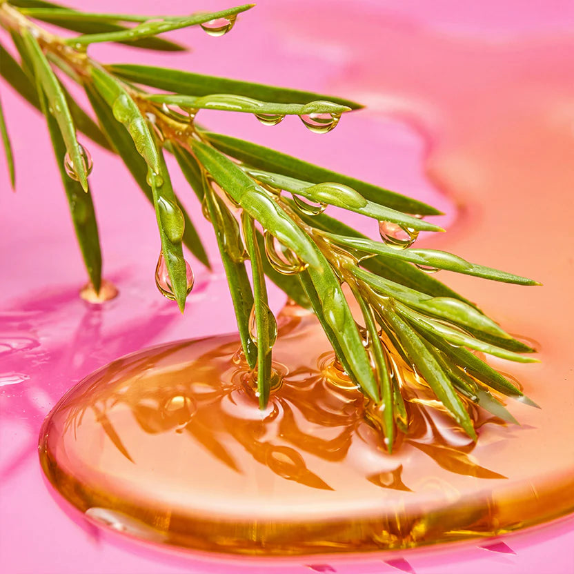 Tea Tree Oil